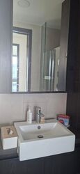 The Inflora (D17), Condominium #615249311